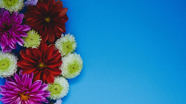 中国不仅展 中国不仅展