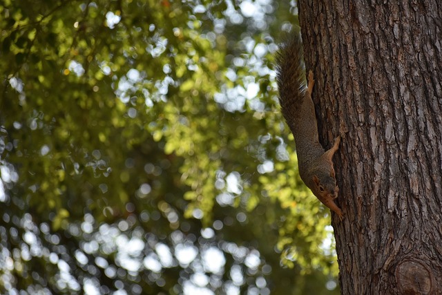 最终帮助球 最终帮助球