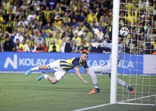 毛球爱好者 毛球爱好者