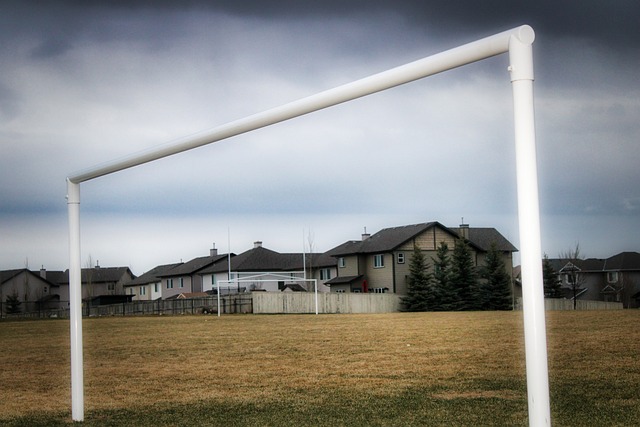 己灵活的节 己灵活的节